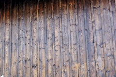 aurinas_alt_fichte_1