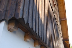 aurinas_altfichte-3