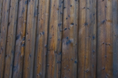 aurinas_altfichte-4