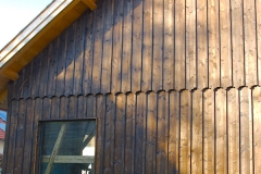 aurinas_altfichte-5