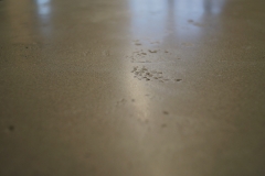 aurinas_beton-wasserfest