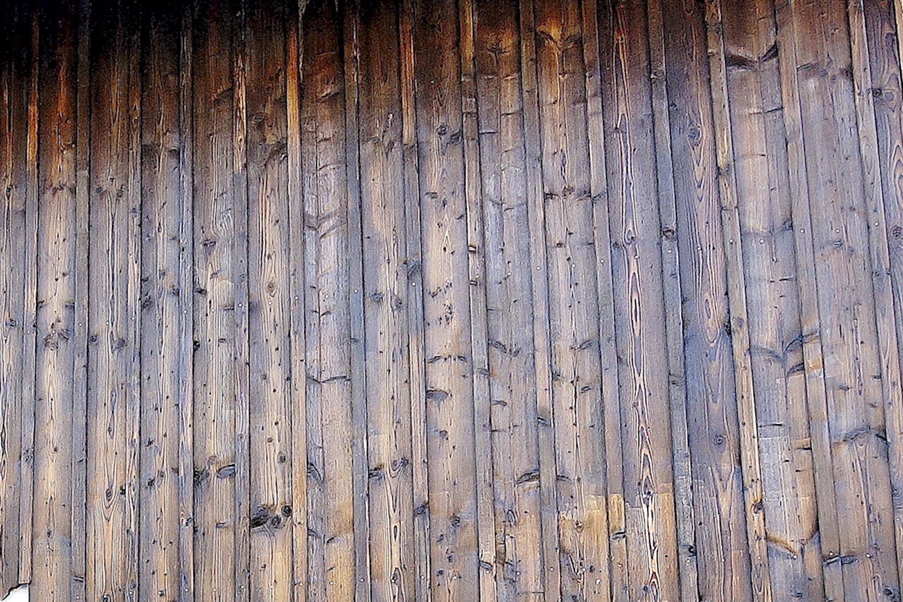 aurinas_alt_fichte_1