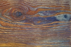 aurinasaltfichte_roetlich